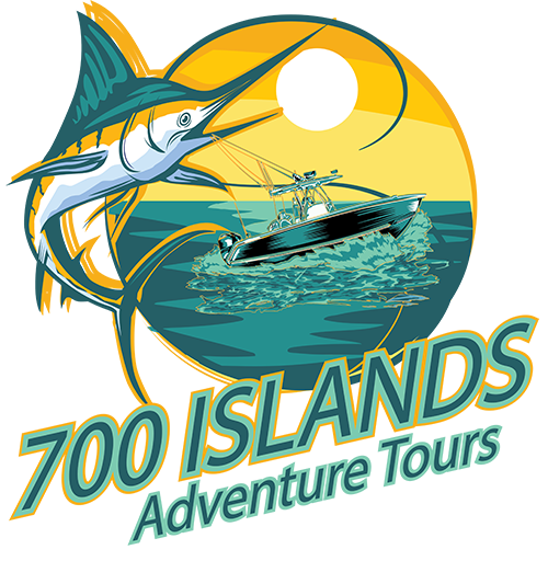 Home - 700 Islands Adventure Tours | Personalized Bahamas Boat Tours